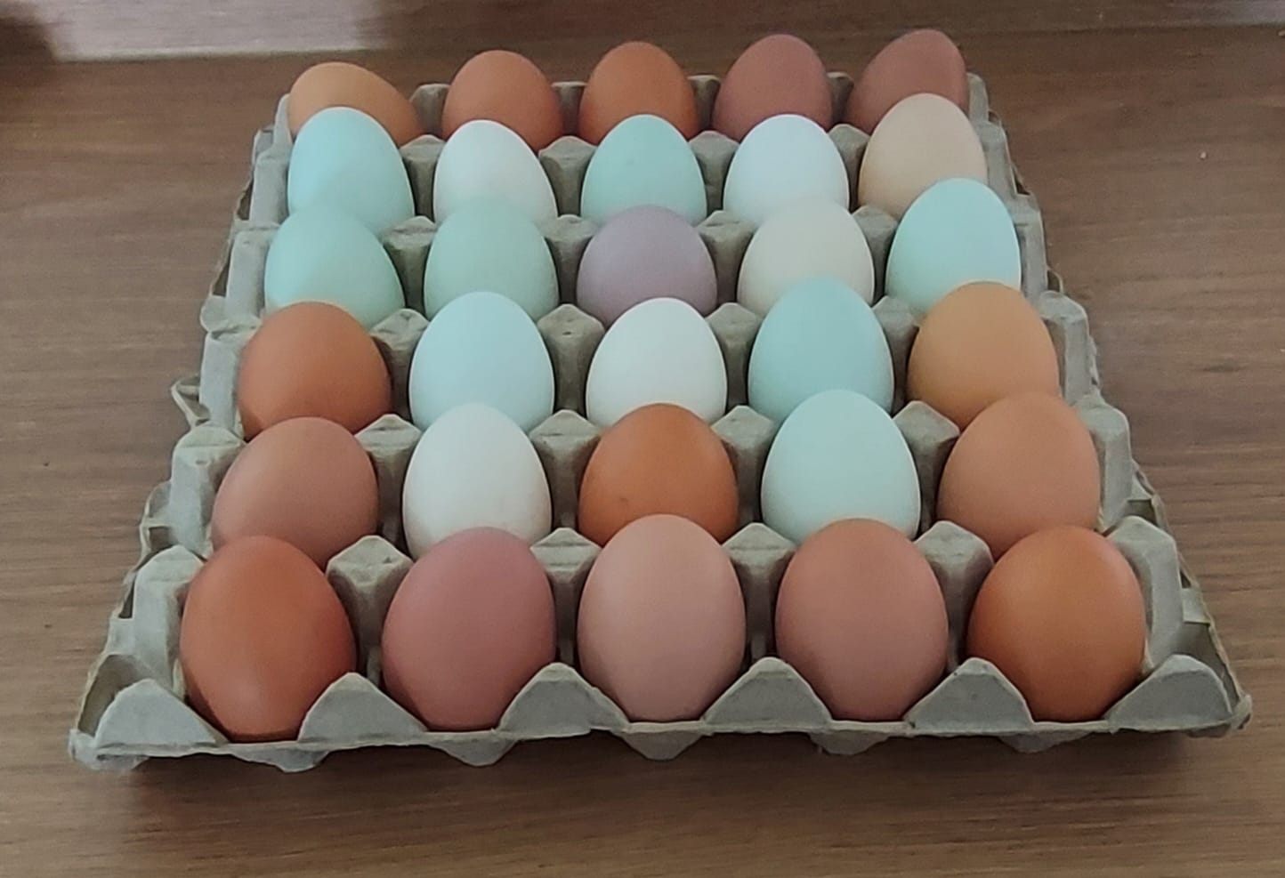 A tray of 30 mixed coloured eggs